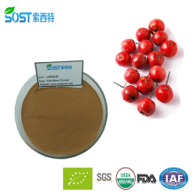 China Manufacturer Best Selling Products Hawthorn Flavone